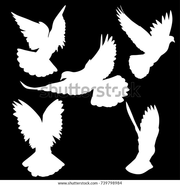 Illustration Pigeon Silhouettes Isolated On Black Stock Vector (Royalty ...