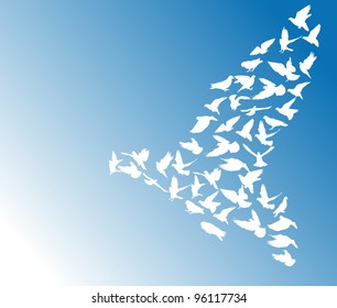 illustration with pigeon silhouettes on blue background