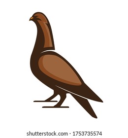 illustration of pigeon vector, bird