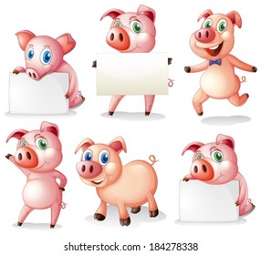 Illustration der Schweine mit leeren Schildern auf weißem Hintergrund