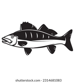 Illustration of pikeperch fish. Design elements 