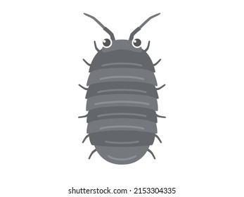 Illustration of a pill bug.