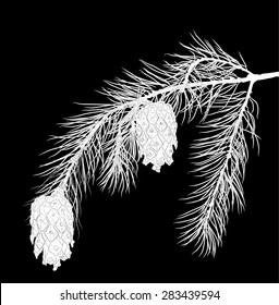 ilustración con bifurcación de pino aislada en fondo negro