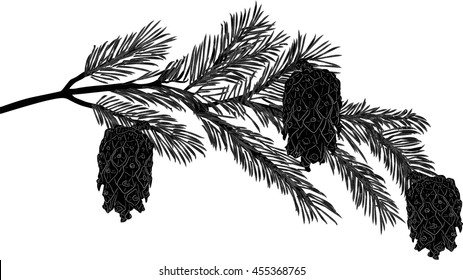 illustration with pine branch isolated on white background