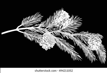 illustration with pine branch isolated on black background