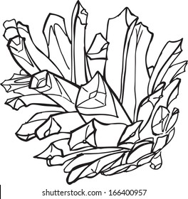 Illustration of a pine cone sketch