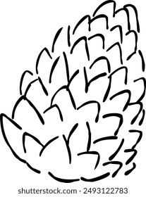 Illustration of pine cones seen in autumn.