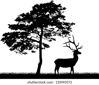 illustration with pine and deer silhouettes