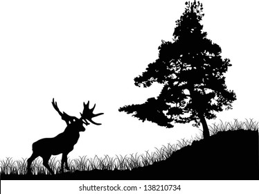 illustration with pine and deer silhouettes