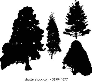 illustration with pine and fir tree silhouettes isolated on white background