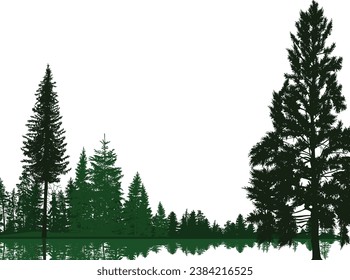 illustration with pine forest and reflection isolated on white background
