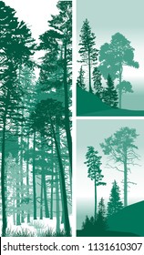 illustration with pine forest silhouettes collection
