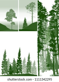 illustration with pine forest silhouettes isolated on white background