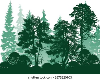 illustration with pine forest silhouettes isolated on white background