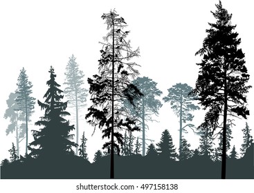 Illustration Black Forest Isolated On White Stock Vector (Royalty Free ...