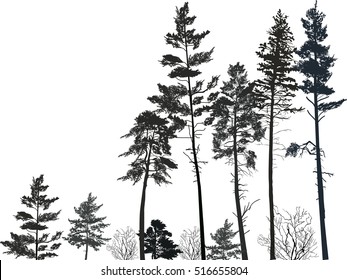 610,911 Tree black silhouette Images, Stock Photos & Vectors | Shutterstock