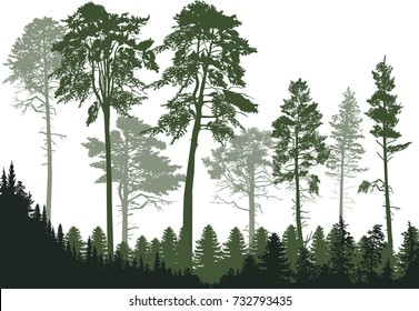 Модель на фоне леса