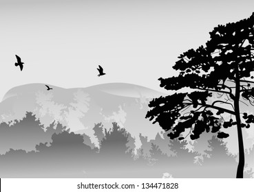 illustration with pine in grey mountain forest