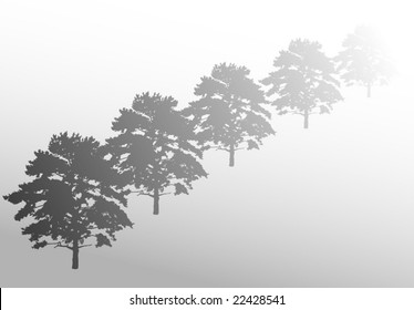 Illustration mit Pine-Silhouetten einzeln auf weißem Hintergrund