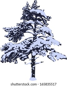 illustration with pine in snow isolated on white background