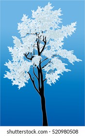 illustration with pine in snow on blue background