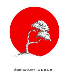 Illustration pine tree and big red sun, symbol of Japan.Japan sun. 