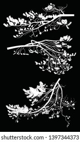ilustración con rama de árbol de pino aislada en fondo negro