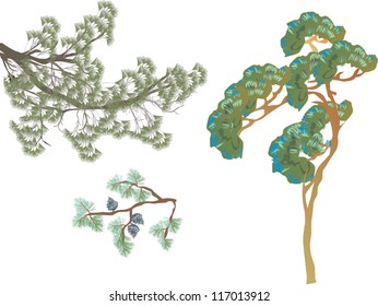 ilustración con colección de ramas de árbol de pino