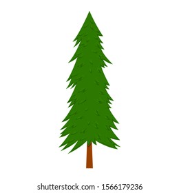 Illustration of pine tree in cartoon style isolated on white background. Design element for poster, banner, card, emblem. Vector illustration