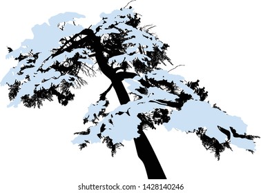 ilustración con árbol de pino aislado en fondo blanco