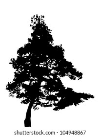 illustration with pine tree silhouette isolated on white background