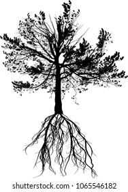 illustration with pine tree silhouette isolated on white background