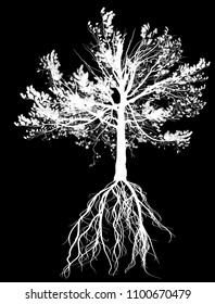 illustration with pine tree silhouette isolated on black background