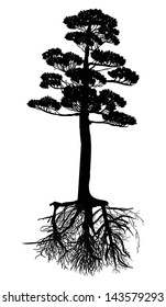 illustration with pine tree silhouette isolated on white background