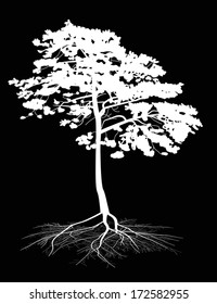 illustration with pine tree silhouette isolated on black background