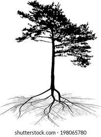 Illustration mit Pinienholz-Silhouette einzeln auf weißem Hintergrund