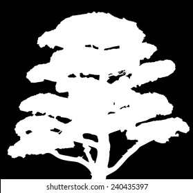 illustration with pine tree silhouette isolated on black background