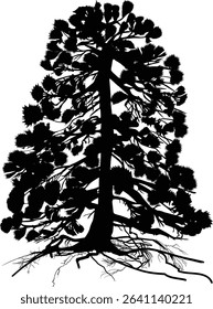 illustration with pine tree silhouette isolated on white background