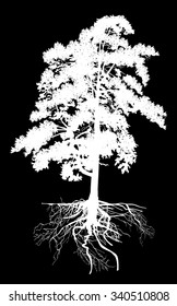 illustration with pine tree silhouette isolated on black background