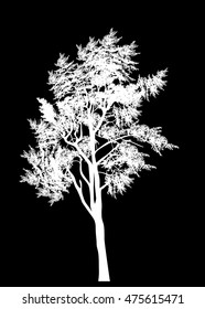 illustration with pine tree silhouette isolated on black background