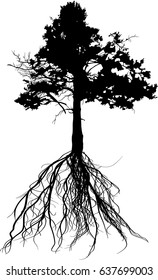illustration with pine tree silhouette isolated on white background