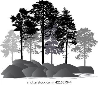 illustration with pine trees in rocks isolated on white background