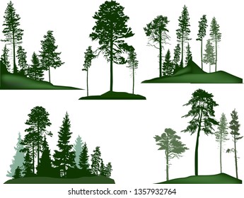 illustration with pine trees set isolated on white background