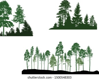 illustration with pine trees set isolated on white background