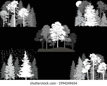 Illustration mit Kiefern einzeln auf schwarzem Hintergrund