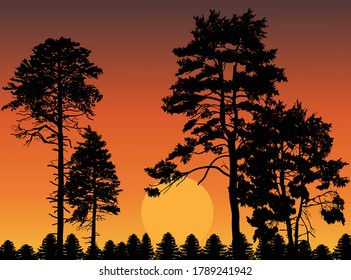 illustration with pine trees at sunset