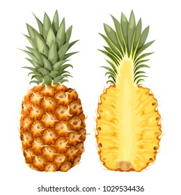 Illustration of pineapple