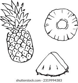 Illustration of pineapple and cut pineapple (handwritten)