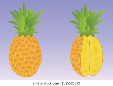 Illustration of pineapple and cuted pineapple isolated on white background. Exotic Fruits