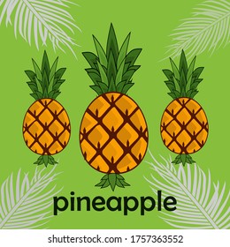
illustration of pineapple, in a flat style. pineapple fruit theme. summer theme.